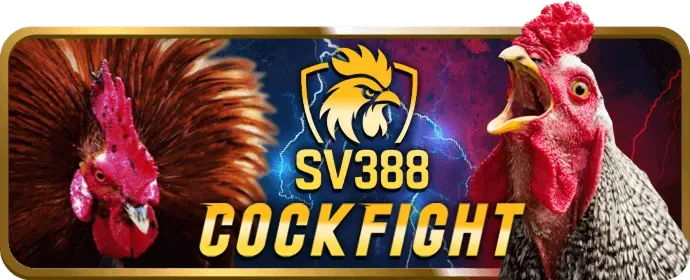 Cá cược có trách nhiệm tại h88 game